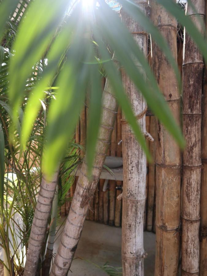 Steffi'S Mandala Hotel Hikkaduwa Exterior photo